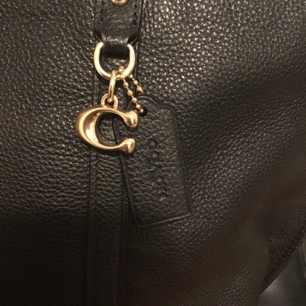 🔥🔥NWOT, AUTHENTIC COACH BAG, GORGEOUS 18 inches x 12 inches - Picture 2 of 11